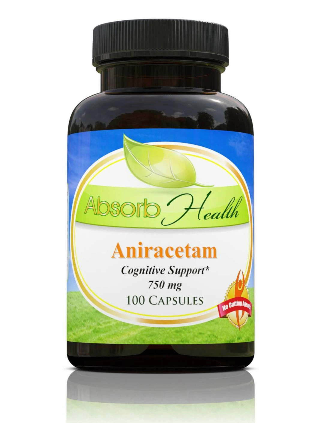 Buy Aniracetam Capsules - Boost Your Memory Now